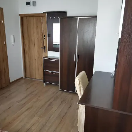 Przytulny W Wiezowcu - Centrum Miasta Podwislocze 38